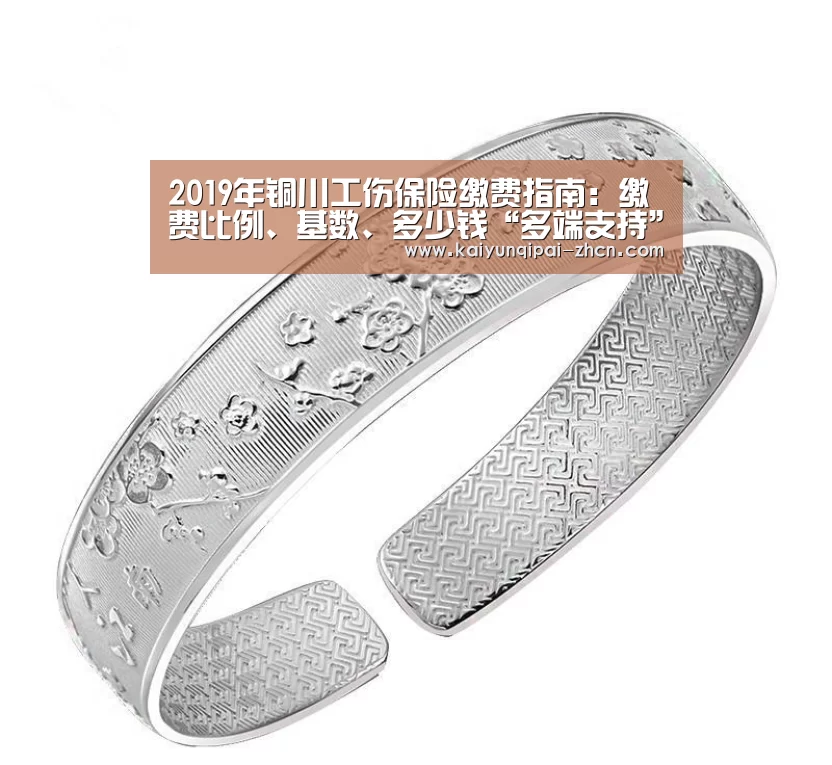 应用获取