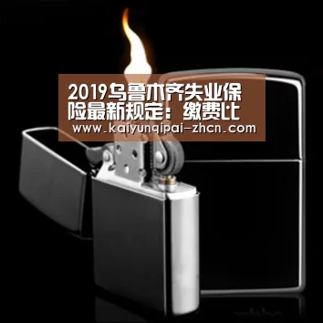 访问体验