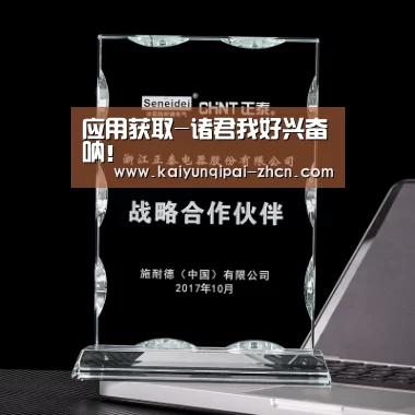 应用获取