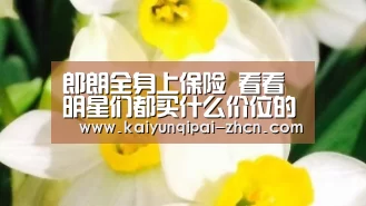 多端支持