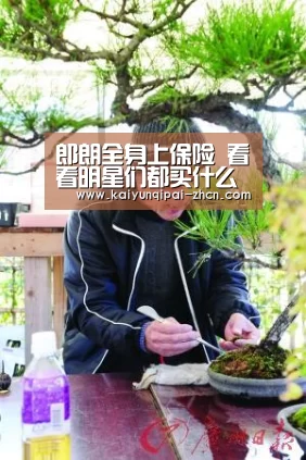 使用教程