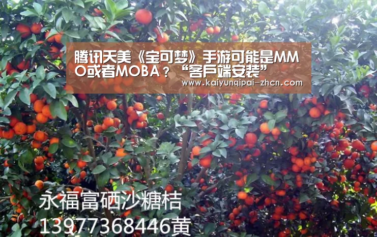多端支持