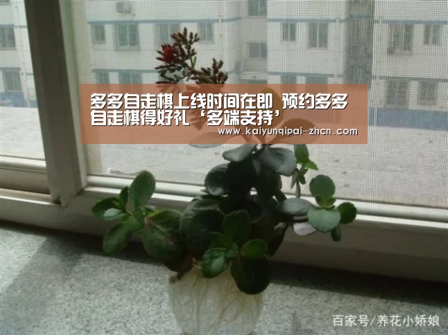 访问体验