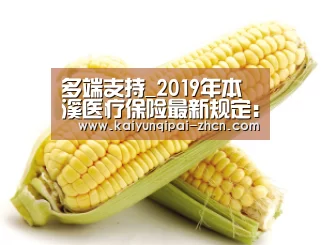 多端支持_2019年本溪医疗保险最新规定:报销范围、比例(图1) 使用教程