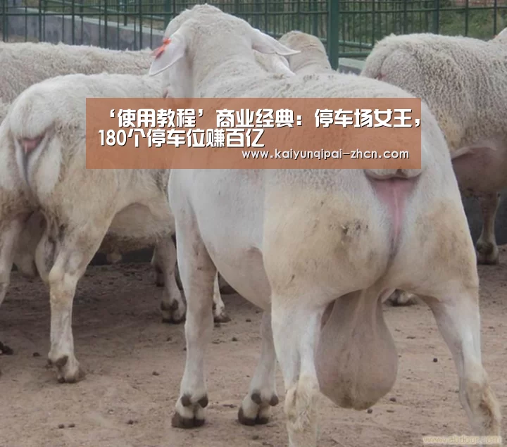 多端支持